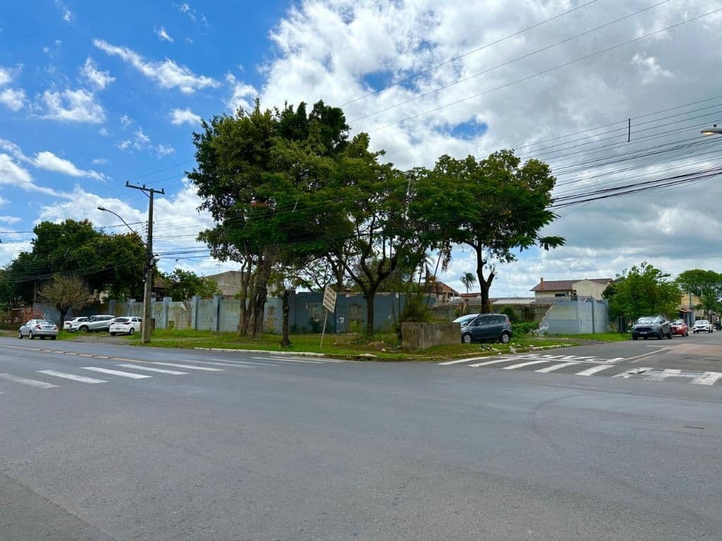 HSDG 479 Lote TE1812